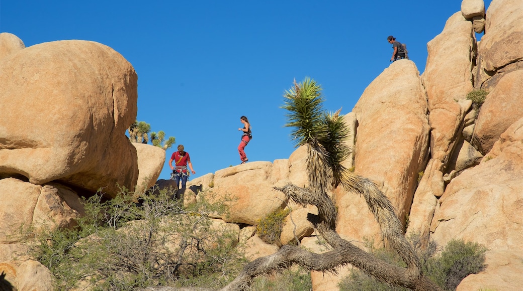 Intersection Rock