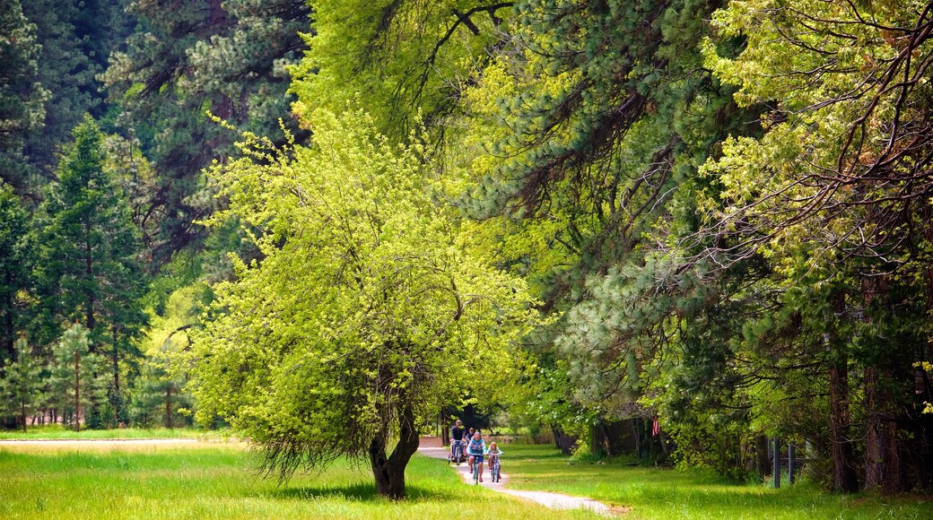 Ahwahnee Meadow featuring cycling and a garden as well as a family