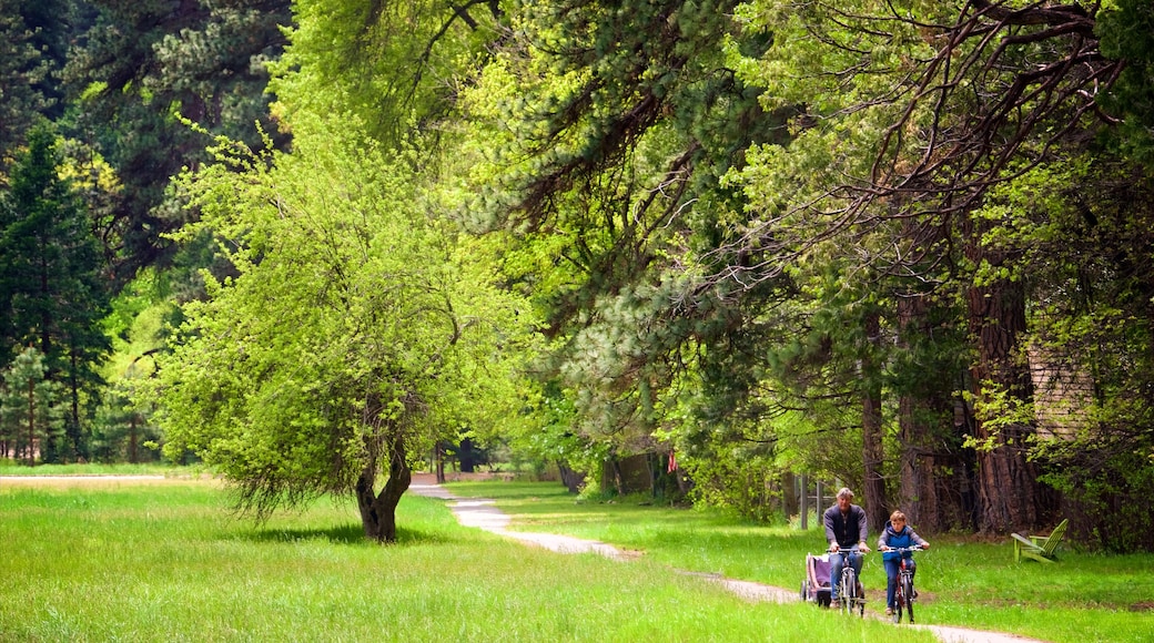 Ahwahnee Meadow featuring a park and cycling as well as a family