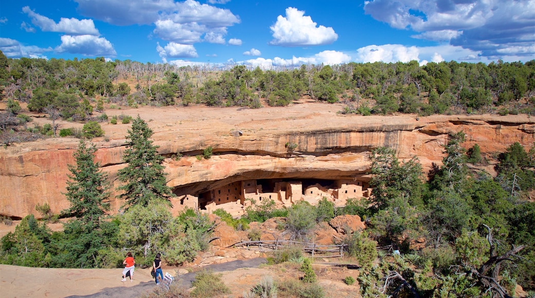 Casas en acantilados Spruce Tree House