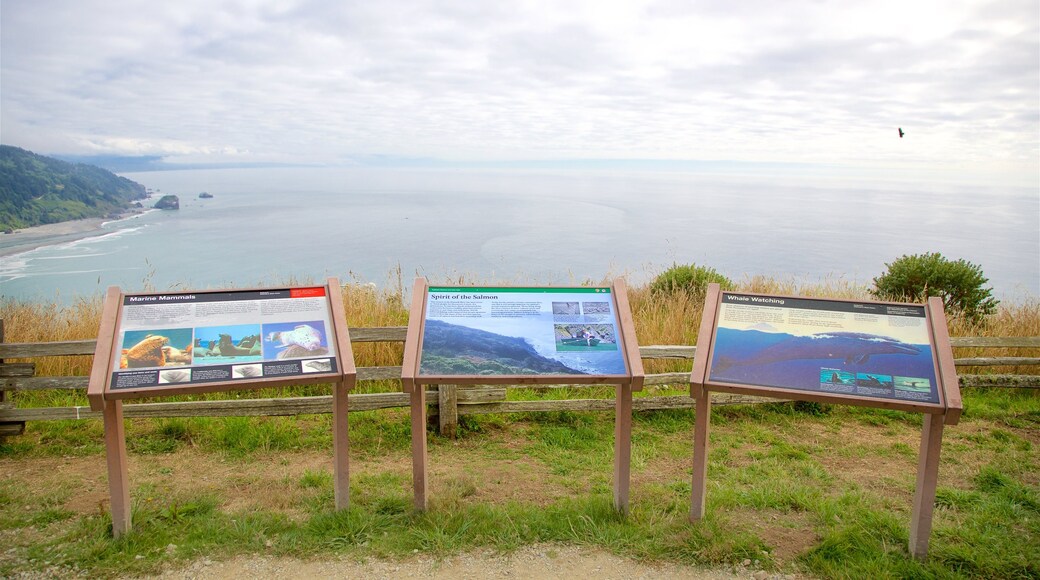 Klamath River Overlook