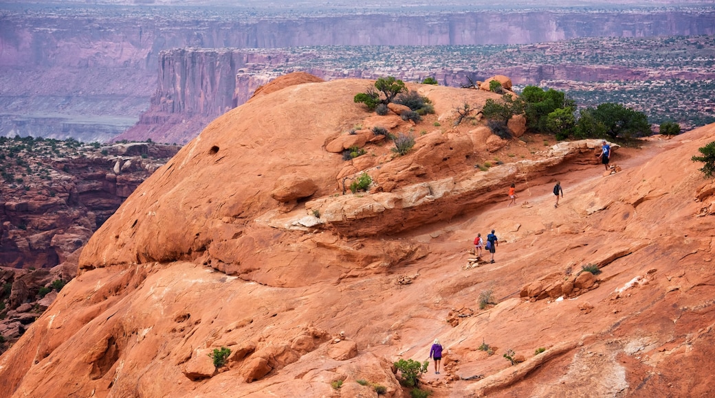 Upheaval Dome showing hiking or walking, a gorge or canyon and landscape views