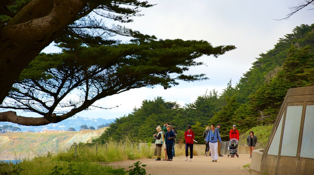 Coastal Trail which includes a park as well as a small group of people