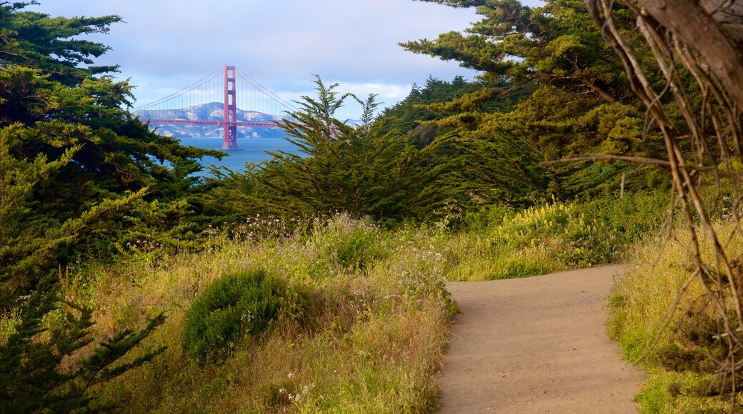 Coastal Trail showing a park