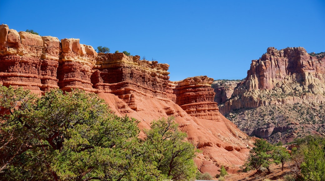 Rim Road Scenic Drive which includes a gorge or canyon and landscape views