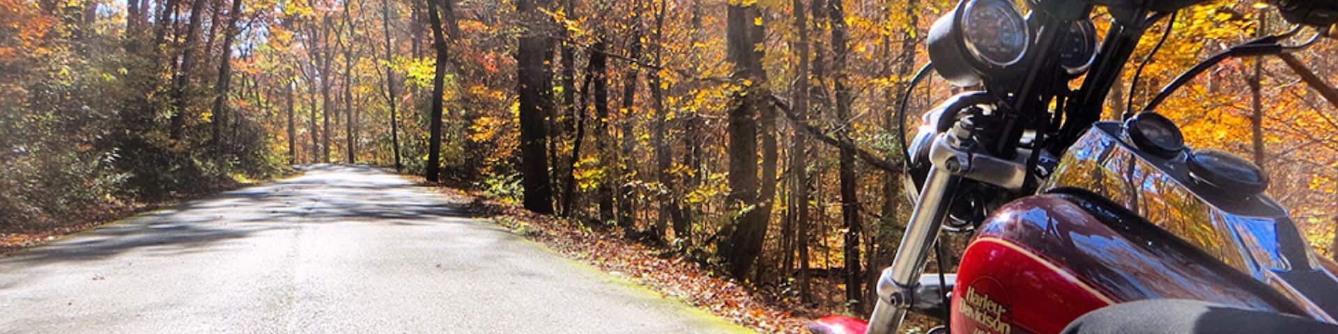 Shawnee National Forest featuring motorcycle riding, tranquil scenes and autumn leaves
