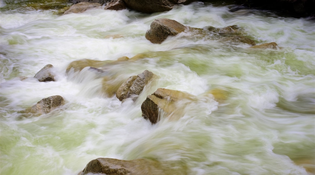 Air Terjun Lower Yosemite