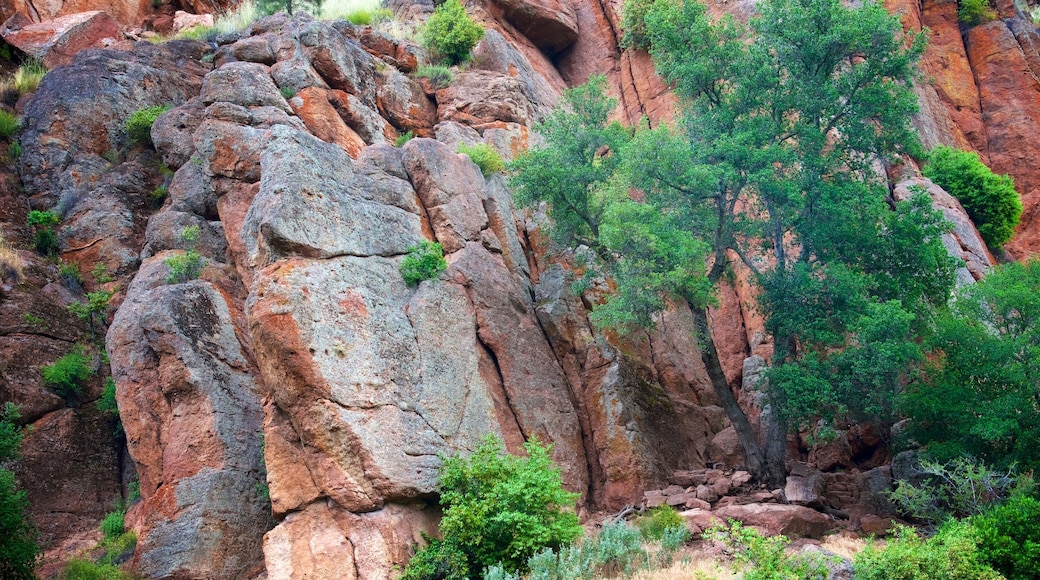 Bear Gulch Trail