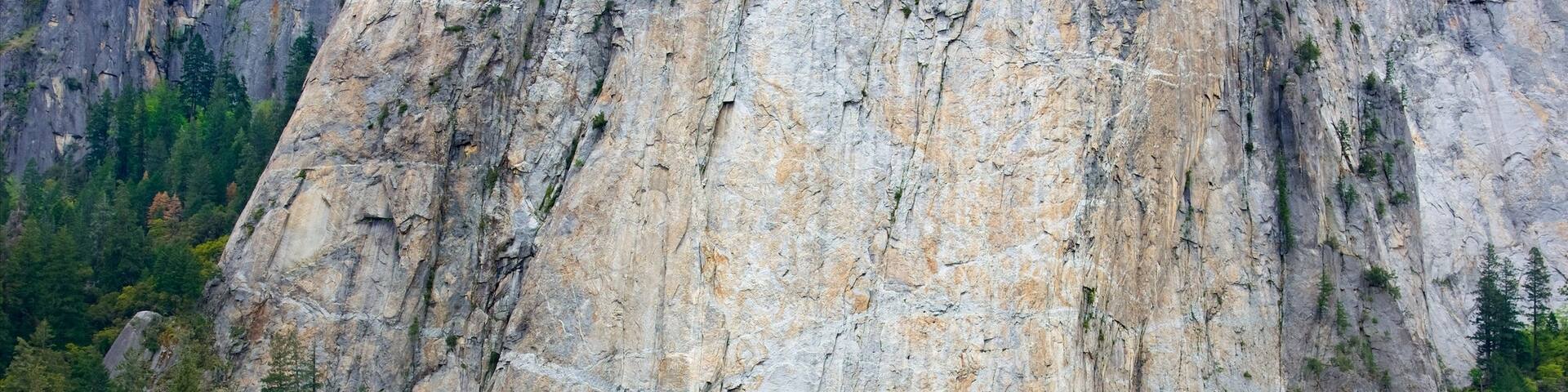 El Capitan Meadow which includes mountains and a garden