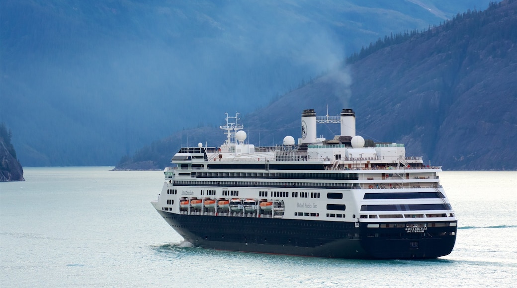 Fiordo Tracy Arm