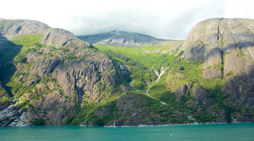 Fiordo Tracy Arm