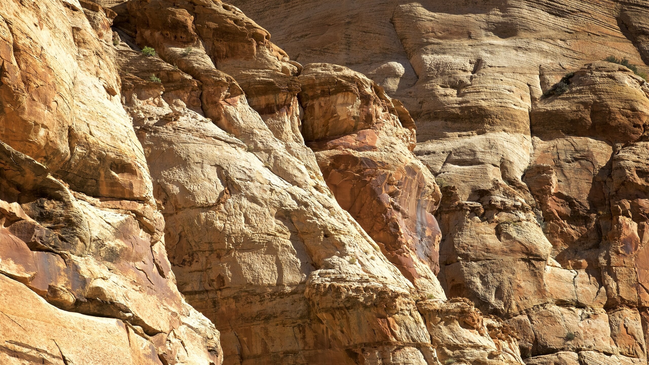 Top 20 Torrey, US cabin rentals Vrbo