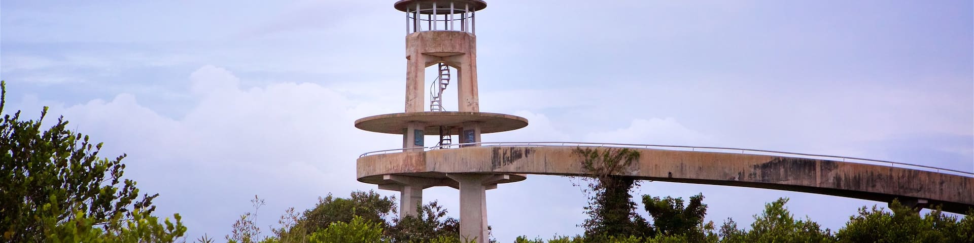 Shark Valley Observatory Tower showing an observatory and a garden