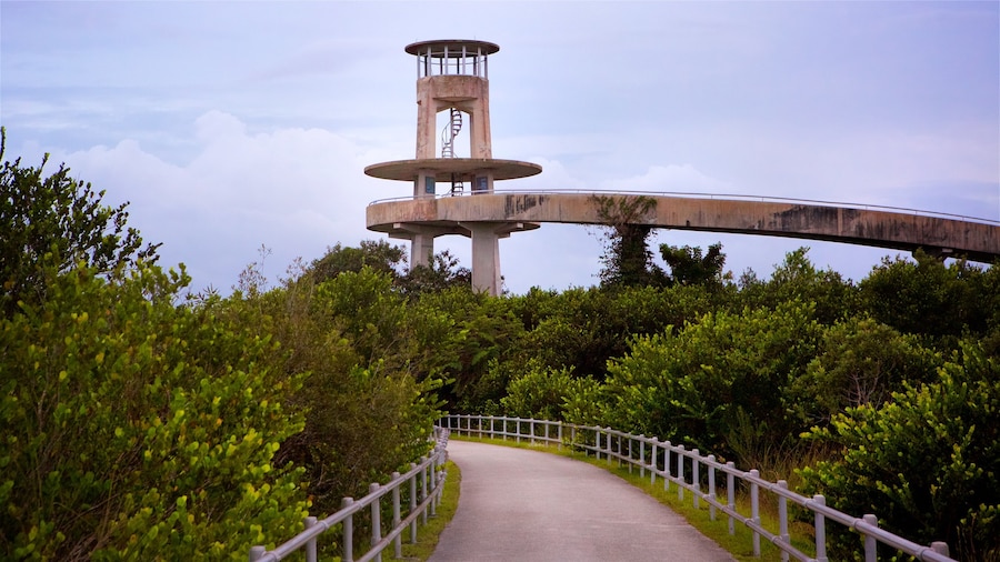 Shark Valley Observatory Tower