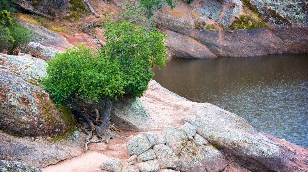 Bear Gulch Reservoir