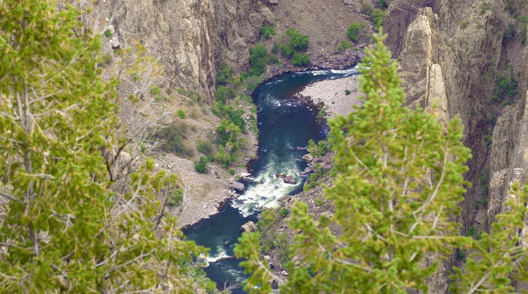 Mirador Gunnison Point