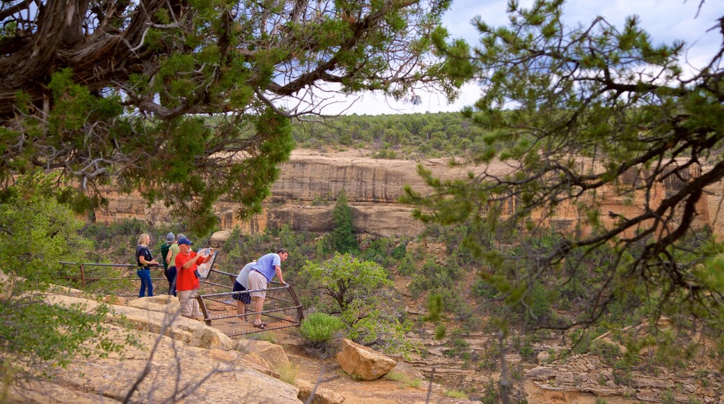 Cliff Canyon