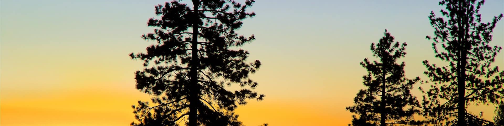 Nevada Beach