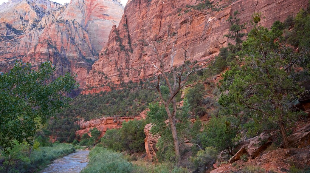 Kayenta Trail