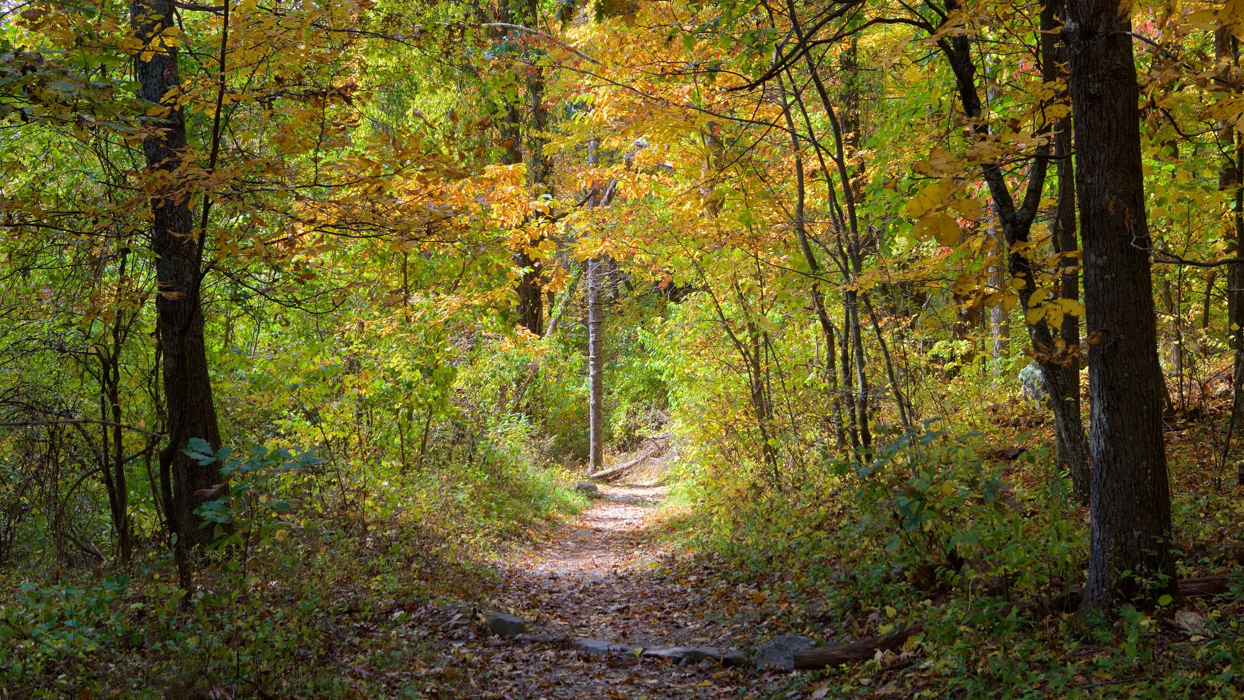 download blue ridge mountains