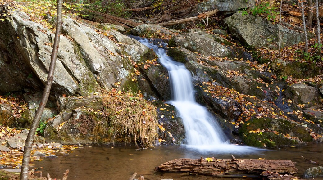 Cascate Doyles River Falls