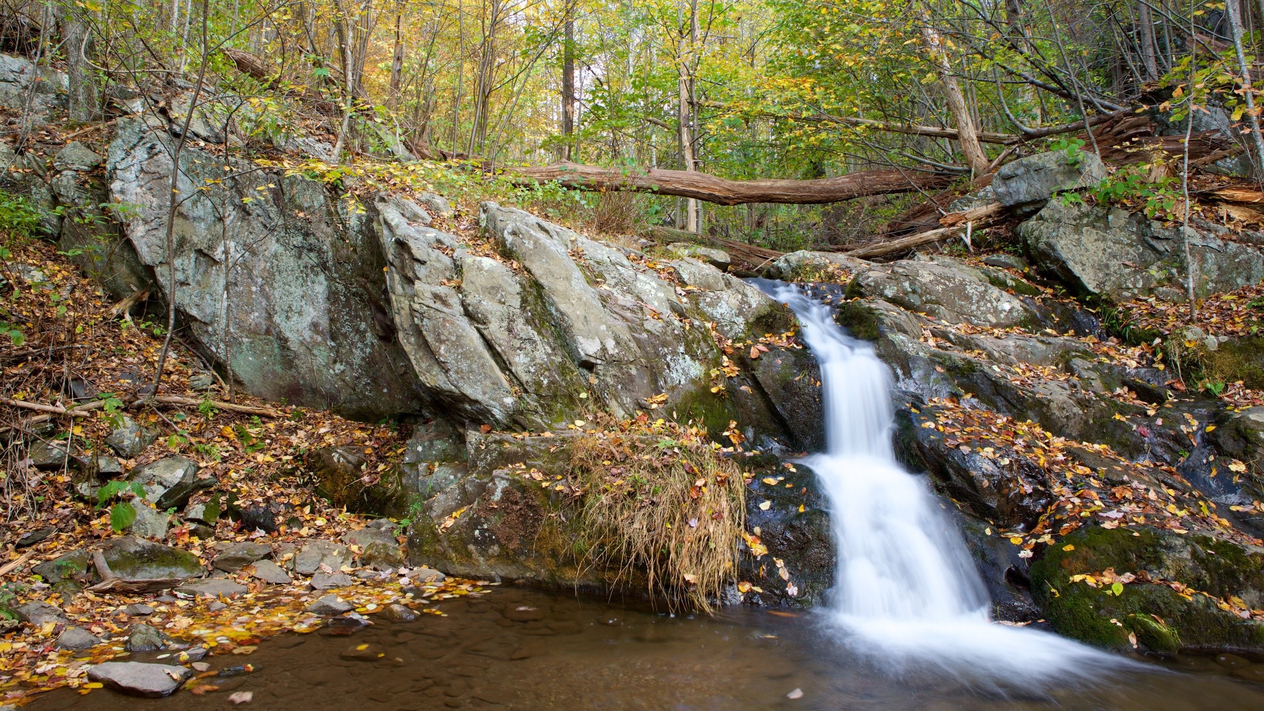 Visit Crozet Best of Crozet, Virginia Travel 2023 Expedia Tourism