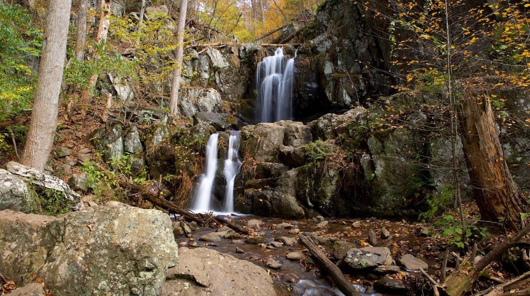 Cascadas del río Doyles