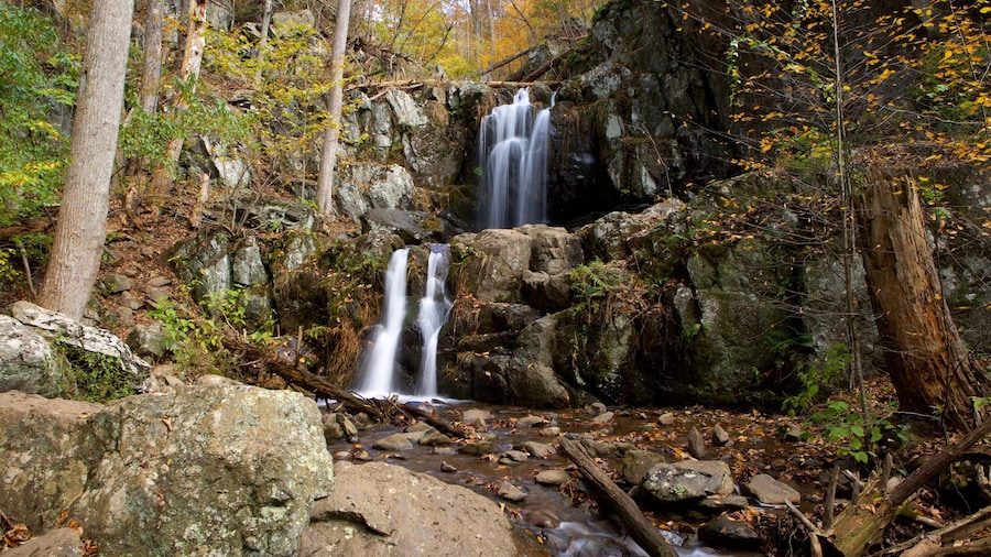 Cascate Doyles River Falls