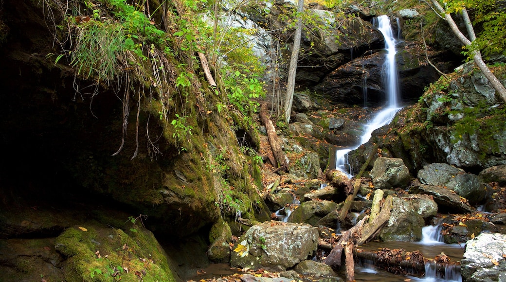 Reisetipps Crozet 2023 das Beste in Crozet entdecken Expedia