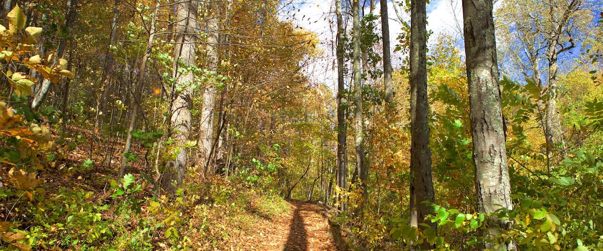 Doyles River Falls