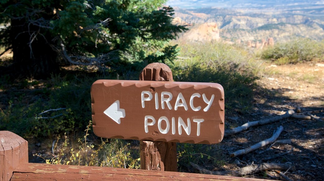 Piracy Point