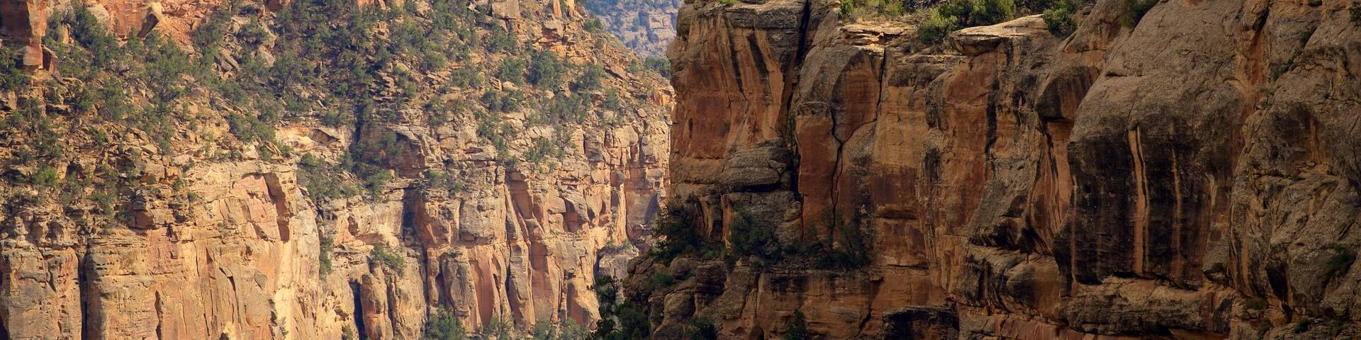 Soda Canyon Overlook Trail