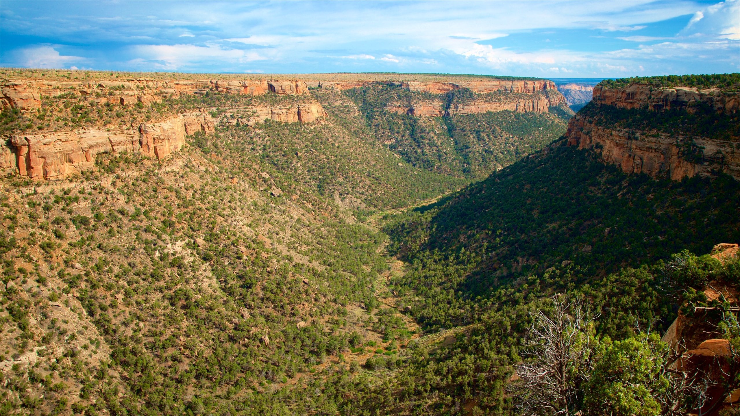 Soda Canyon Overlook Trail, US Vacation Rentals chalet rentals & more