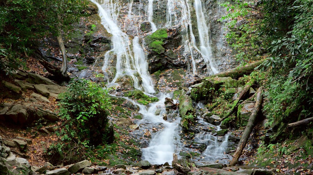 Mingo Falls