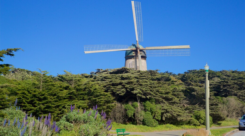 Dutch Windmill