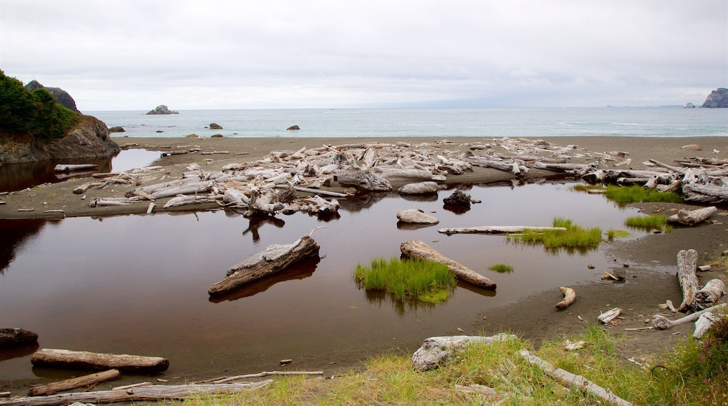 Yurok Loop Trailhead