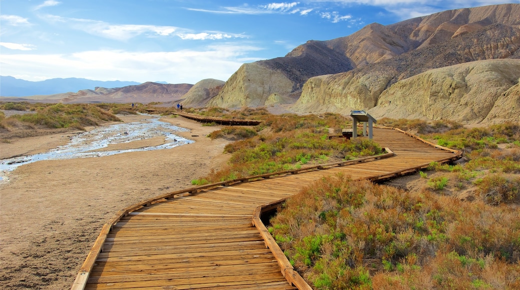 Salt Creek Trailhead