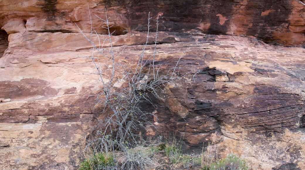 Big Spring Canyon Overlook