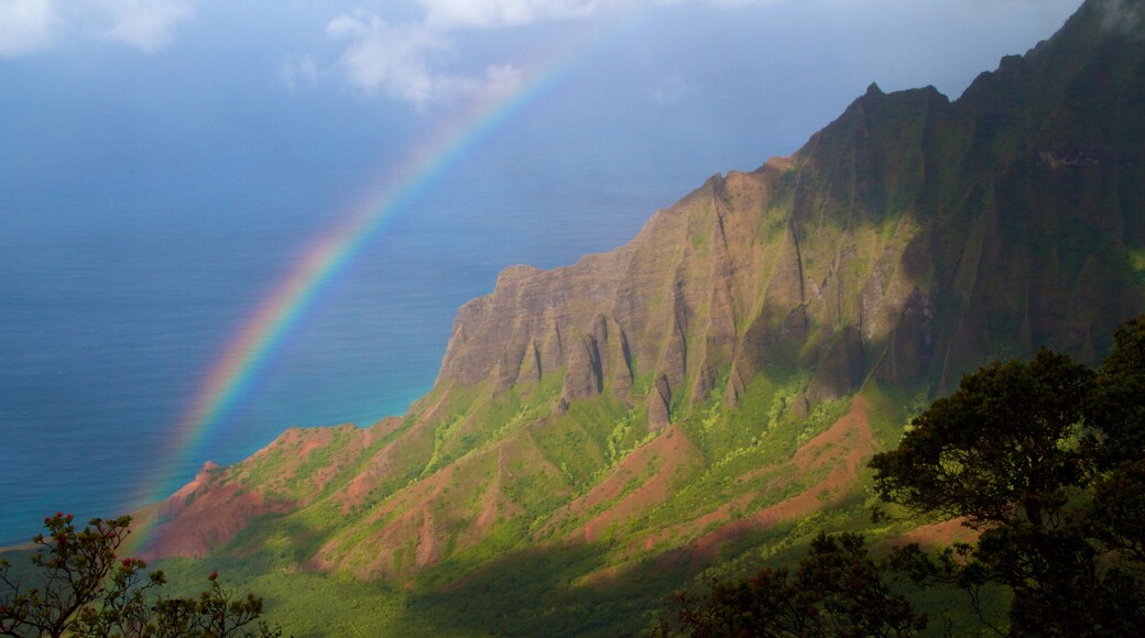 Kalalau Lookout