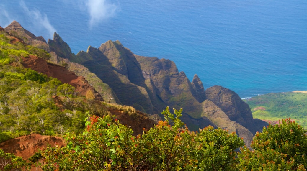 Kalalau Lookout