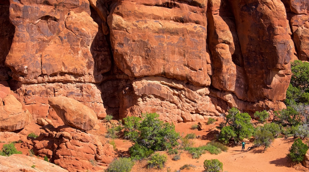 Fiery Furnace Viewpoint