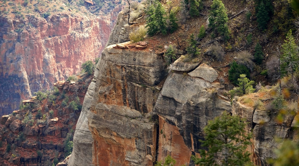 Roaring Springs Canyon