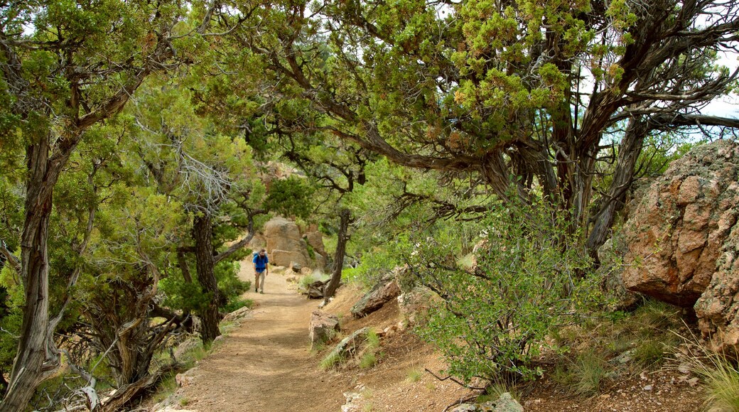 Warner Point Nature Trail