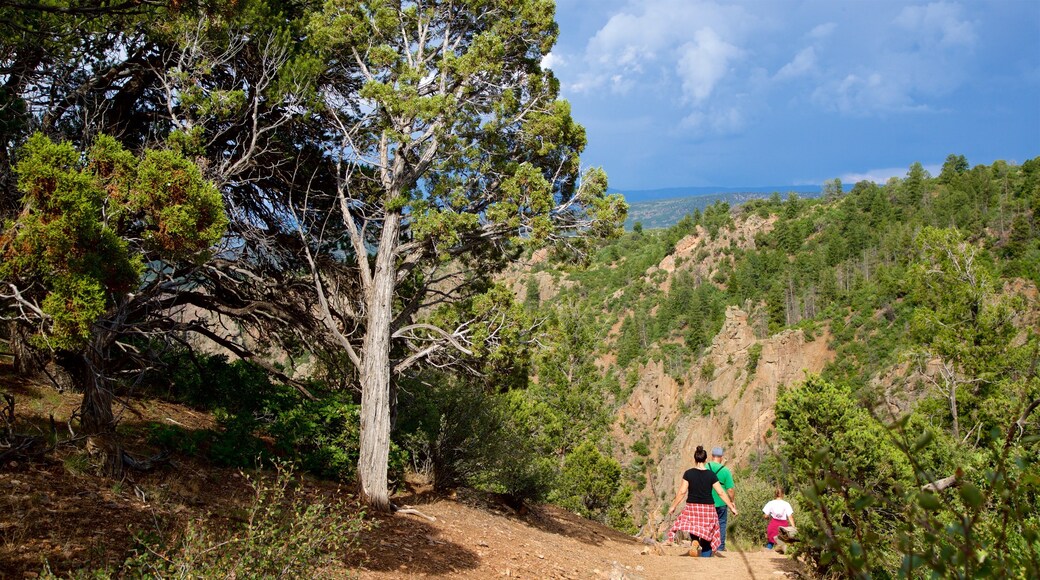 Warner Point Nature Trail