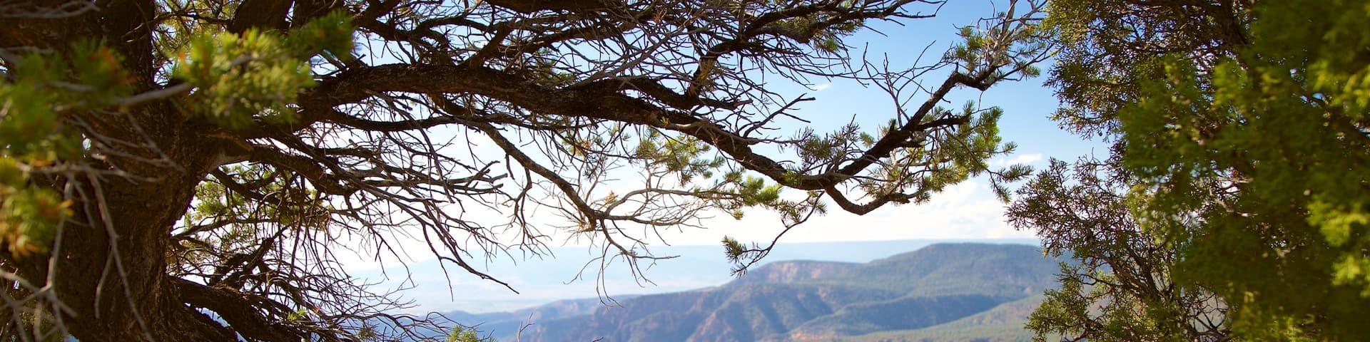 Warner Point Nature Trail