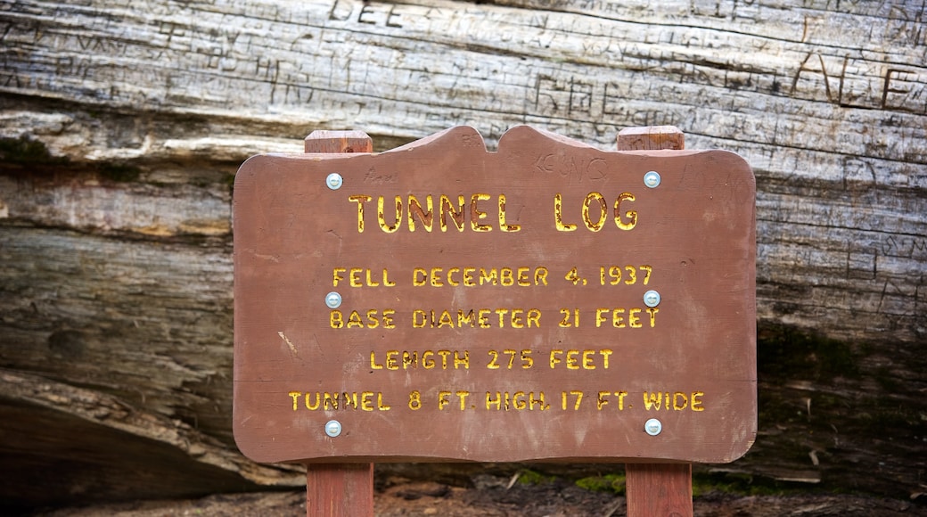 Attraction touristique Tunnel Log