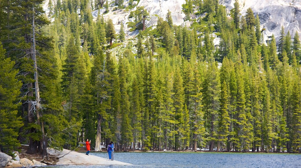 Tenaya Lake