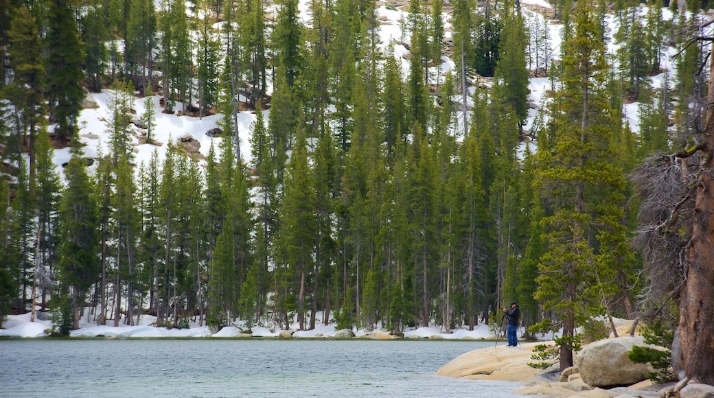 Tenaya Lake