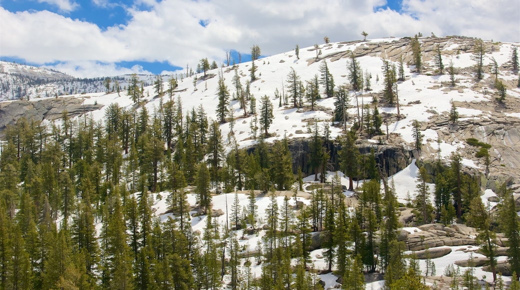 Tenaya Lake