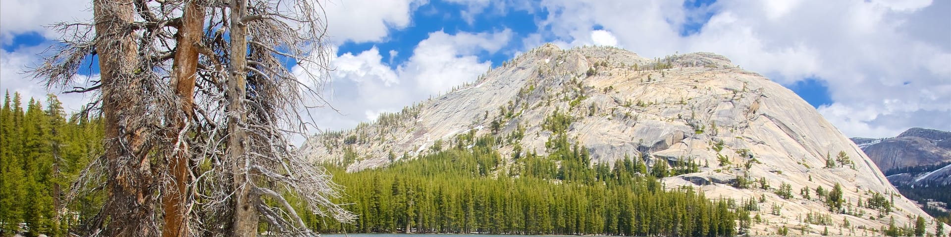 Tenaya Lake